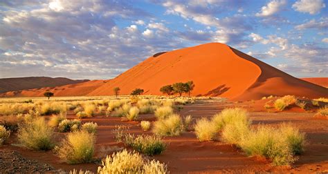 namibia Search